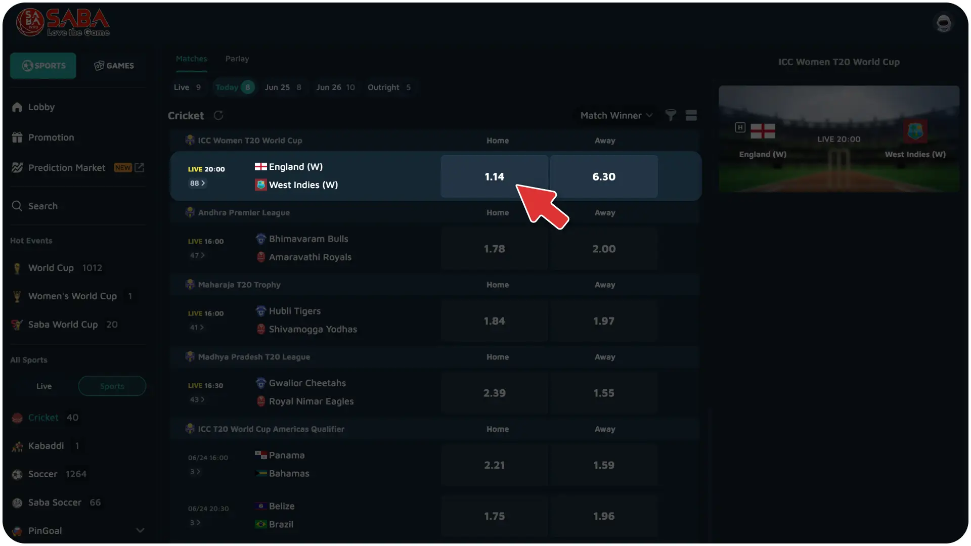 Define your custom stake amount on the bet slip to place your bet on Jitabet cricket.